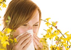 allergikergeeignet-pollenfilter.jpg (11.419 bytes)